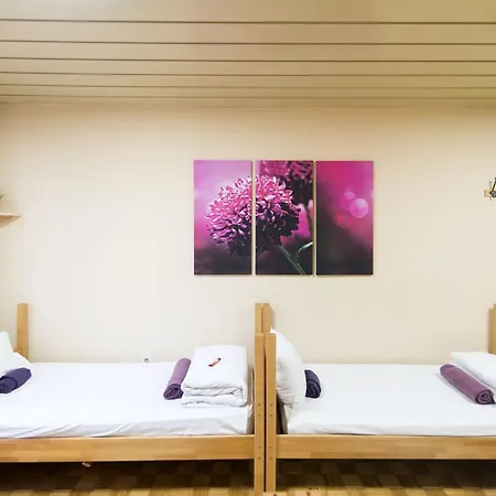 Fair Guest house 2*